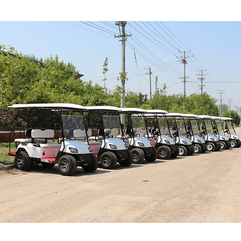 12/14inches Tyre Pmsm 5, 6, 7kw Motor 100/120km Mileage Lead Acid/Lithium Battery 48V/60V/72V 2, 4, 6, 8, 10 Seats/Seater Hunting Golf Cart/Buggy/Car, Club Car